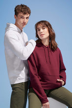 Charger l'image dans la galerie, Sweat-shirt unisexe à capuche Sol's Snake